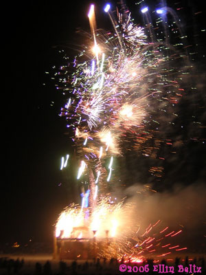 Burning Man 2006 Fireworks