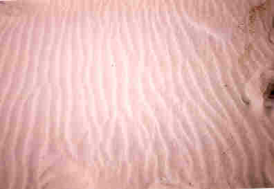 Ripples in dry sand